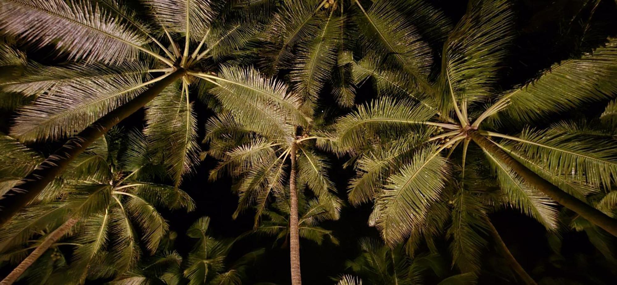 Kurma A Private Beach Kumta Esterno foto